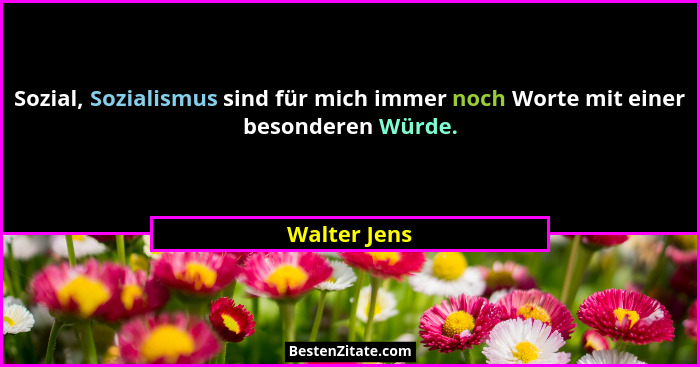 Sozial, Sozialismus sind für mich immer noch Worte mit einer besonderen Würde.... - Walter Jens