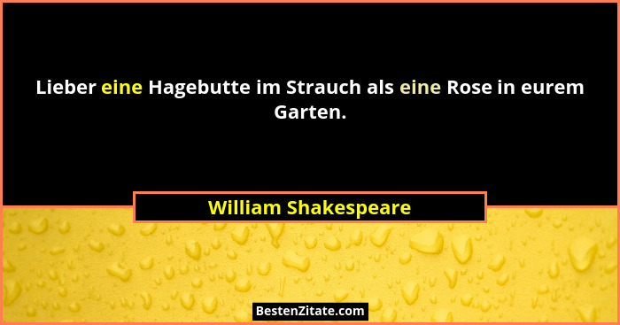 Lieber eine Hagebutte im Strauch als eine Rose in eurem Garten.... - William Shakespeare