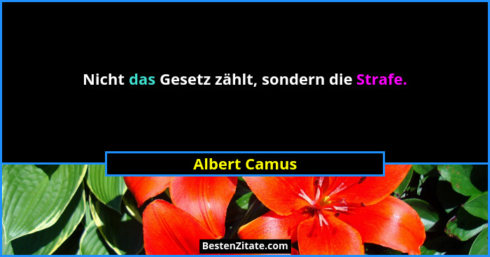 Nicht das Gesetz zählt, sondern die Strafe.... - Albert Camus