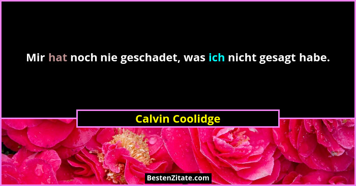 Mir hat noch nie geschadet, was ich nicht gesagt habe.... - Calvin Coolidge