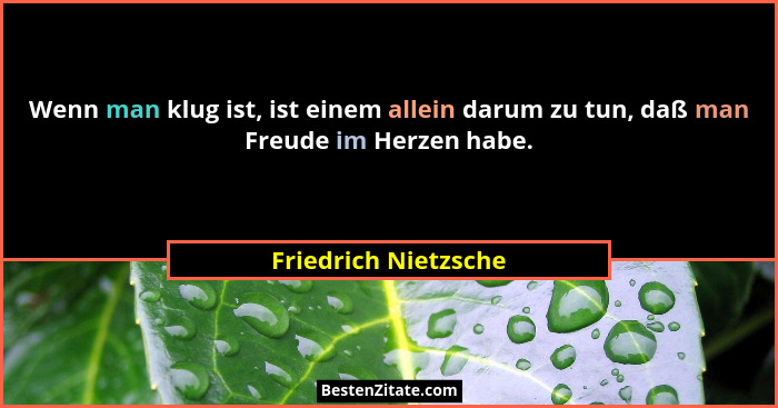 Wenn man klug ist, ist einem allein darum zu tun, daß man Freude im Herzen habe.... - Friedrich Nietzsche