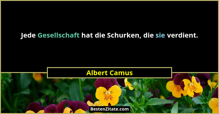 Jede Gesellschaft hat die Schurken, die sie verdient.... - Albert Camus