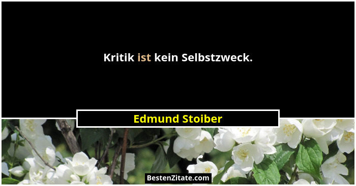 Kritik ist kein Selbstzweck.... - Edmund Stoiber