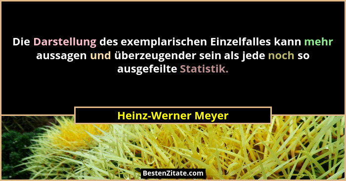 Die Darstellung des exemplarischen Einzelfalles kann mehr aussagen und überzeugender sein als jede noch so ausgefeilte Statistik.... - Heinz-Werner Meyer