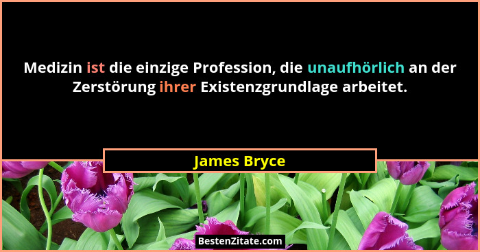 Medizin ist die einzige Profession, die unaufhörlich an der Zerstörung ihrer Existenzgrundlage arbeitet.... - James Bryce