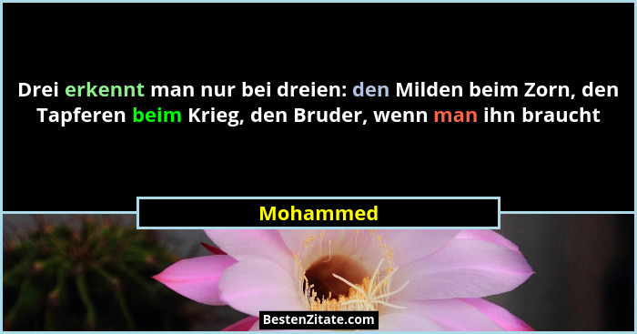 Drei erkennt man nur bei dreien: den Milden beim Zorn, den Tapferen beim Krieg, den Bruder, wenn man ihn braucht... - Mohammed