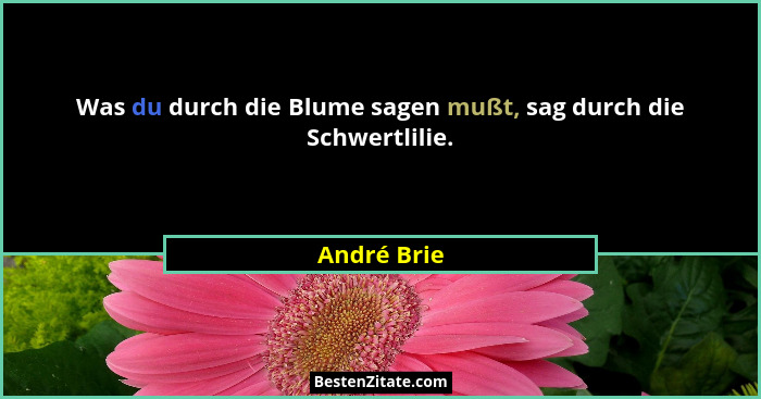 Was du durch die Blume sagen mußt, sag durch die Schwertlilie.... - André Brie