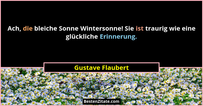 Ach, die bleiche Sonne Wintersonne! Sie ist traurig wie eine glückliche Erinnerung.... - Gustave Flaubert