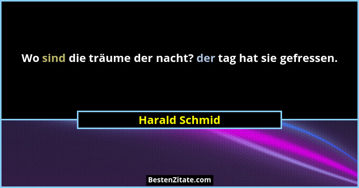 Wo sind die träume der nacht? der tag hat sie gefressen.... - Harald Schmid