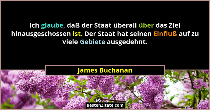 Ich glaube, daß der Staat überall über das Ziel hinausgeschossen ist. Der Staat hat seinen Einfluß auf zu viele Gebiete ausgedehnt.... - James Buchanan