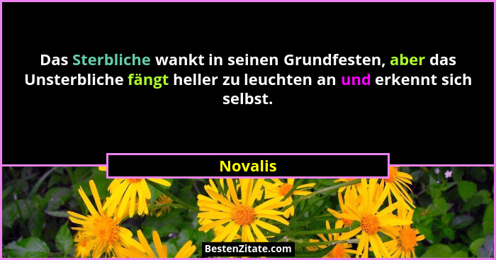 Das Sterbliche wankt in seinen Grundfesten, aber das Unsterbliche fängt heller zu leuchten an und erkennt sich selbst.... - Novalis