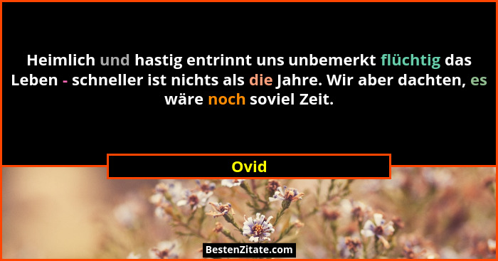 Heimlich und hastig entrinnt uns unbemerkt flüchtig das Leben - schneller ist nichts als die Jahre. Wir aber dachten, es wäre noch soviel Zeit.... - Ovid