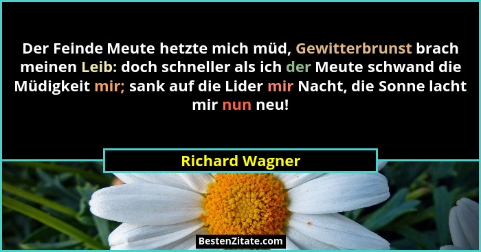 Der Feinde Meute hetzte mich müd, Gewitterbrunst brach meinen Leib: doch schneller als ich der Meute schwand die Müdigkeit mir; sank... - Richard Wagner