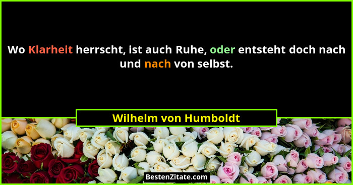 Wo Klarheit herrscht, ist auch Ruhe, oder entsteht doch nach und nach von selbst.... - Wilhelm von Humboldt