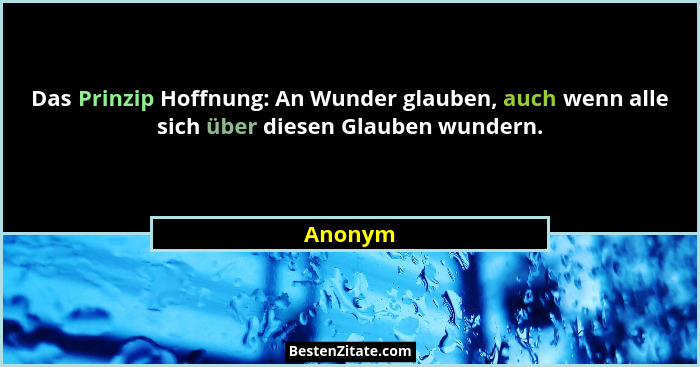 Das Prinzip Hoffnung: An Wunder glauben, auch wenn alle sich über diesen Glauben wundern.... - Anonym