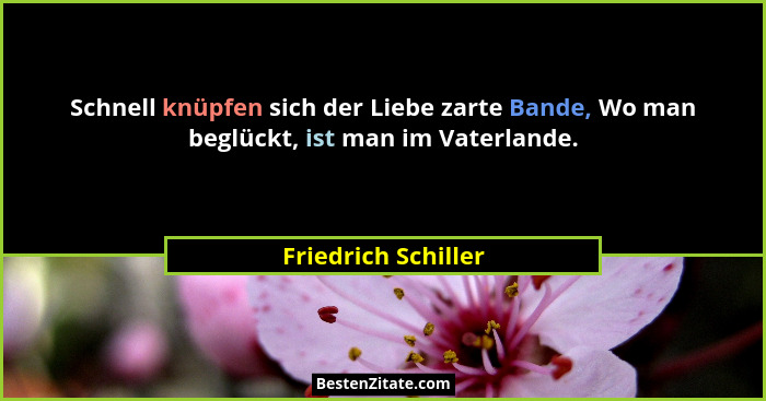 Schnell knüpfen sich der Liebe zarte Bande, Wo man beglückt, ist man im Vaterlande.... - Friedrich Schiller