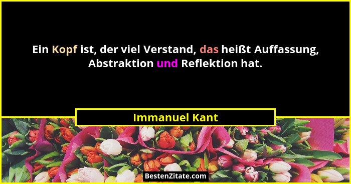 Ein Kopf ist, der viel Verstand, das heißt Auffassung, Abstraktion und Reflektion hat.... - Immanuel Kant