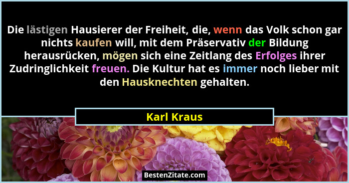 Die lästigen Hausierer der Freiheit, die, wenn das Volk schon gar nichts kaufen will, mit dem Präservativ der Bildung herausrücken, mögen... - Karl Kraus