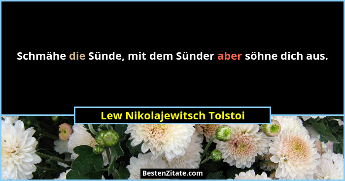 Schmähe die Sünde, mit dem Sünder aber söhne dich aus.... - Lew Nikolajewitsch Tolstoi