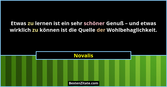 Etwas zu lernen ist ein sehr schöner Genuß – und etwas wirklich zu können ist die Quelle der Wohlbehaglichkeit.... - Novalis