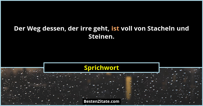Der Weg dessen, der irre geht, ist voll von Stacheln und Steinen.... - Sprichwort