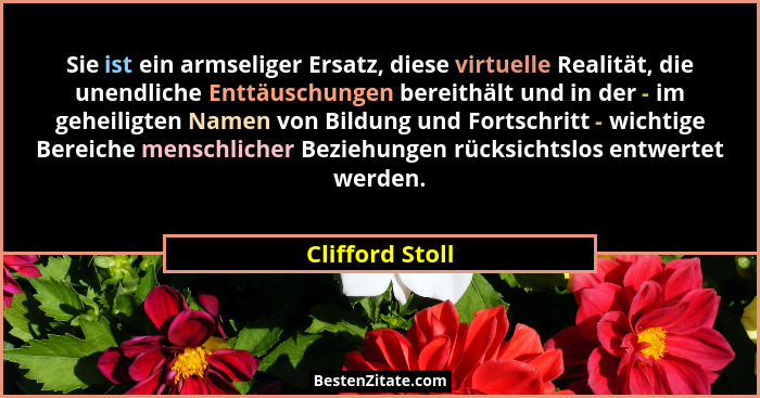 Sie ist ein armseliger Ersatz, diese virtuelle Realität, die unendliche Enttäuschungen bereithält und in der - im geheiligten Namen v... - Clifford Stoll