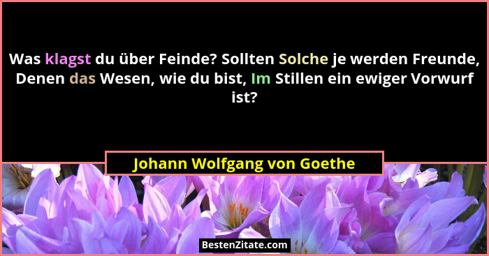 Was klagst du über Feinde? Sollten Solche je werden Freunde, Denen das Wesen, wie du bist, Im Stillen ein ewiger Vorwurf... - Johann Wolfgang von Goethe