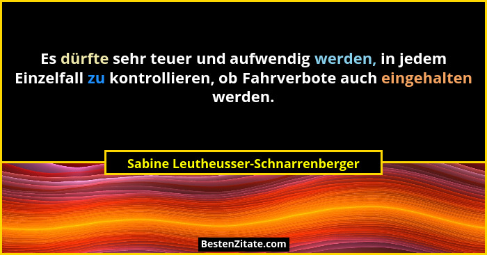 Es dürfte sehr teuer und aufwendig werden, in jedem Einzelfall zu kontrollieren, ob Fahrverbote auch eingehalten... - Sabine Leutheusser-Schnarrenberger