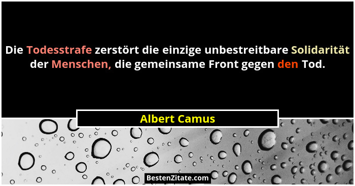 Die Todesstrafe zerstört die einzige unbestreitbare Solidarität der Menschen, die gemeinsame Front gegen den Tod.... - Albert Camus
