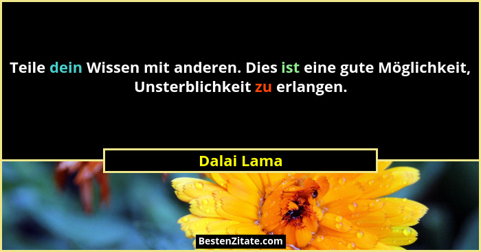 Teile dein Wissen mit anderen. Dies ist eine gute Möglichkeit, Unsterblichkeit zu erlangen.... - Dalai Lama