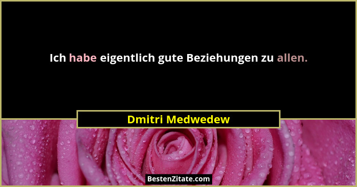Ich habe eigentlich gute Beziehungen zu allen.... - Dmitri Medwedew