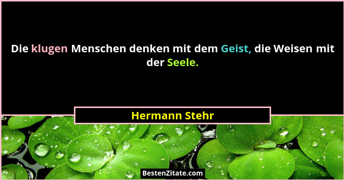 Die klugen Menschen denken mit dem Geist, die Weisen mit der Seele.... - Hermann Stehr