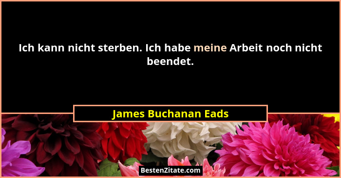 Ich kann nicht sterben. Ich habe meine Arbeit noch nicht beendet.... - James Buchanan Eads