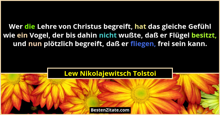 Wer die Lehre von Christus begreift, hat das gleiche Gefühl wie ein Vogel, der bis dahin nicht wußte, daß er Flügel besit... - Lew Nikolajewitsch Tolstoi