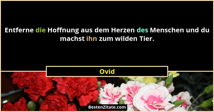 Entferne die Hoffnung aus dem Herzen des Menschen und du machst ihn zum wilden Tier.... - Ovid