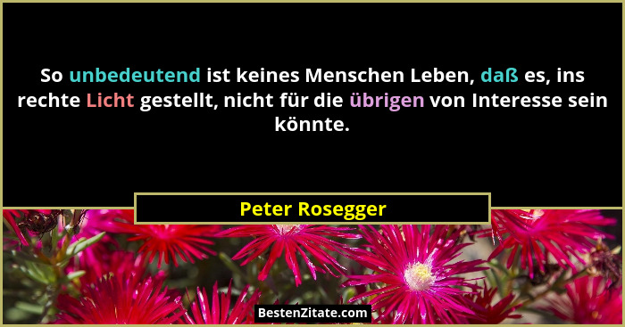 So unbedeutend ist keines Menschen Leben, daß es, ins rechte Licht gestellt, nicht für die übrigen von Interesse sein könnte.... - Peter Rosegger