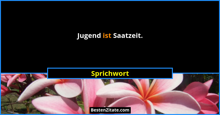 Jugend ist Saatzeit.... - Sprichwort