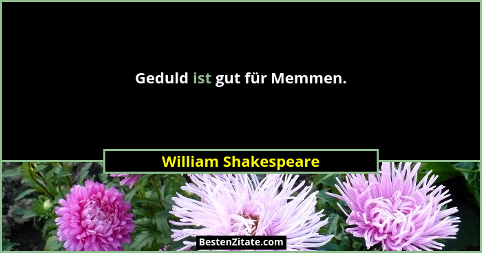 Geduld ist gut für Memmen.... - William Shakespeare