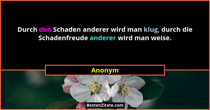 Durch den Schaden anderer wird man klug, durch die Schadenfreude anderer wird man weise.... - Anonym