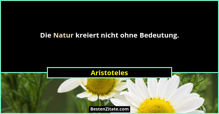 Die Natur kreiert nicht ohne Bedeutung.... - Aristoteles