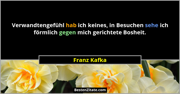 Verwandtengefühl hab ich keines, in Besuchen sehe ich förmlich gegen mich gerichtete Bosheit.... - Franz Kafka