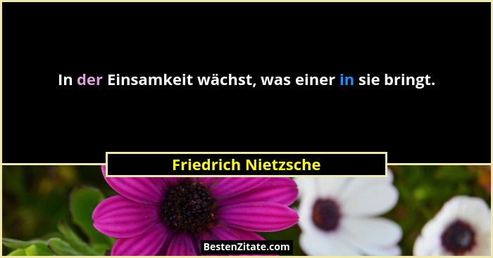 In der Einsamkeit wächst, was einer in sie bringt.... - Friedrich Nietzsche