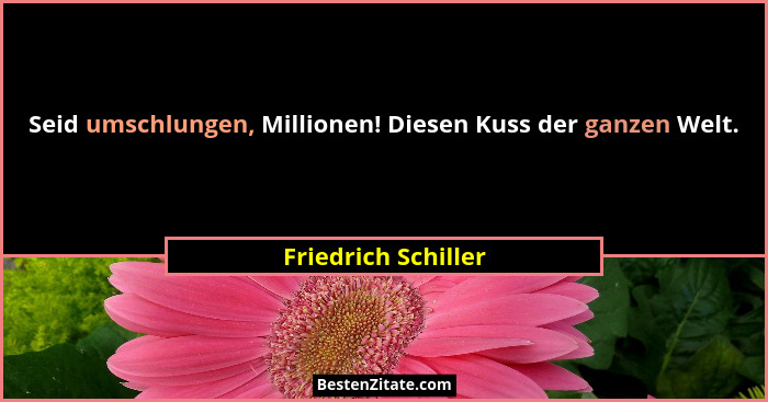 Seid umschlungen, Millionen! Diesen Kuss der ganzen Welt.... - Friedrich Schiller