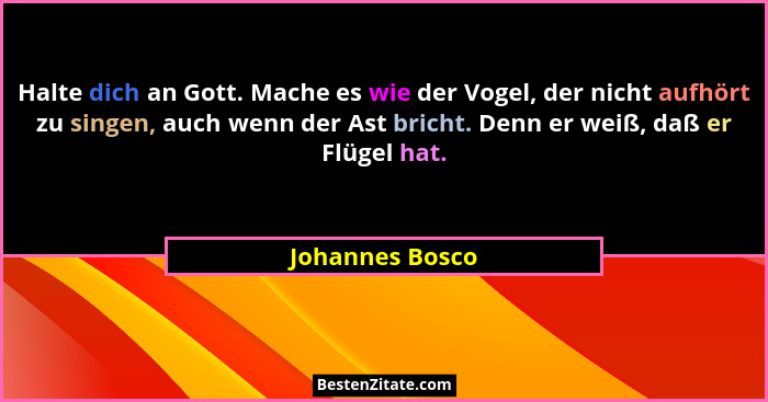 Halte dich an Gott. Mache es wie der Vogel, der nicht aufhört zu singen, auch wenn der Ast bricht. Denn er weiß, daß er Flügel hat.... - Johannes Bosco