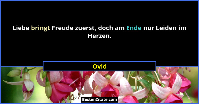 Liebe bringt Freude zuerst, doch am Ende nur Leiden im Herzen.... - Ovid