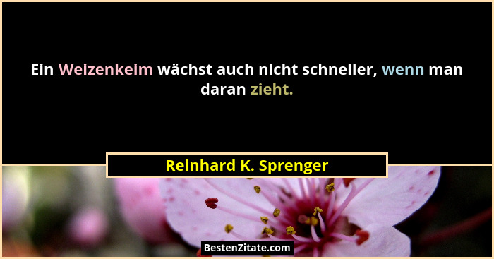 Ein Weizenkeim wächst auch nicht schneller, wenn man daran zieht.... - Reinhard K. Sprenger