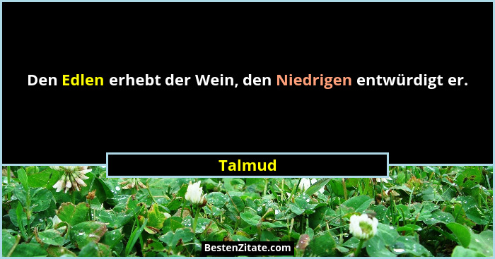 Den Edlen erhebt der Wein, den Niedrigen entwürdigt er.... - Talmud