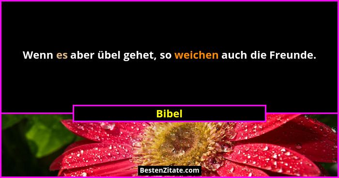 Wenn es aber übel gehet, so weichen auch die Freunde.... - Bibel
