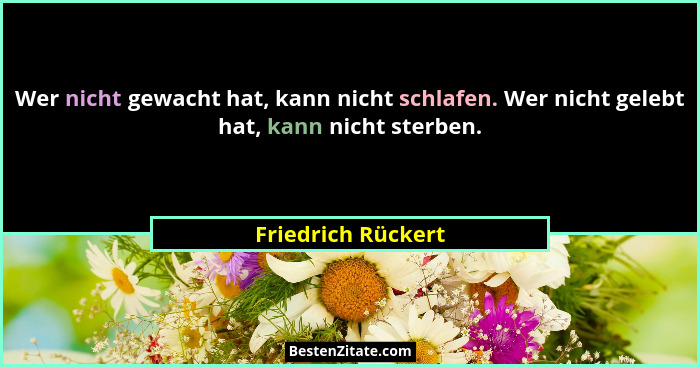 Wer nicht gewacht hat, kann nicht schlafen. Wer nicht gelebt hat, kann nicht sterben.... - Friedrich Rückert