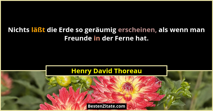 Nichts läßt die Erde so geräumig erscheinen, als wenn man Freunde in der Ferne hat.... - Henry David Thoreau